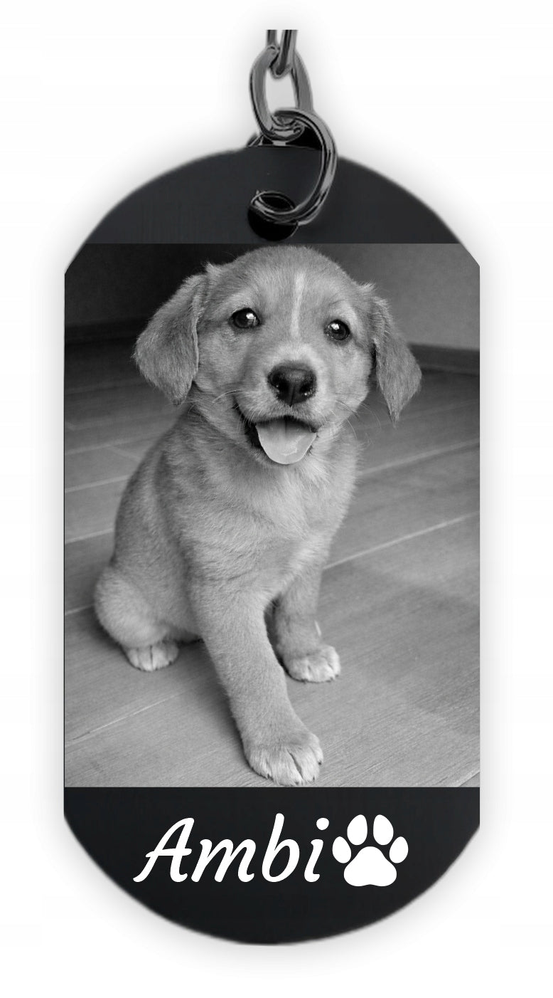 f8aa10e7120dd1bfcf4282e8556c0d50